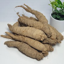 [산지직송] 태백 산더덕 1kg (중/대) 향이진한 고랭지 고산더덕, 산더덕 1kg (대), 1개