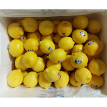최상급 신선한 레몬 팬시 레몬 lemon 레몬대과 미국레몬 칠레레몬 개당120g내외 미국산 칠레산, 10개