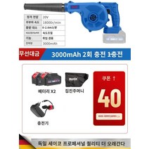 나뭇잎 송풍기 공업용 여성용 남성용 수작업 공구 전기 작업 편리 전동 농업용 별빛스토어 독일 Ronix 고성능 헤어 드라이어 가정용 소형 송풍기 220v 강력한 먼지 송풍기 산업용 집진기, 무선 충전 3000mAh 대용량 배터리 2개 - 산업용