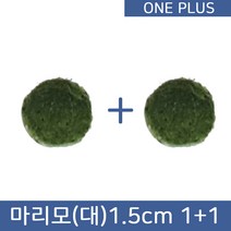 [원플러스 특가]마리모 단품 대 1.5cm (1 1)
