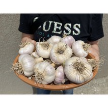 2023 영천 햇홍산마늘 저장용마늘 3kg 4kg 5kg7kg, 홍산마늘 왕특  7kg(100개), 100개