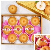 나주 배 선물세트 7.5KG 명절선물 선물용배 과일선물세트