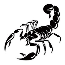 전갈 scorpion 데칼 튜닝 스티커, 1개, 블랙(대)