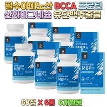 필수아미노산 BCAA함유 비타민미네랄믹스 치커리뿌리추출물 유단백추출물 산화마그네슘 영양제선물 노년층 남녀노소 단백질비타민 간편섭취 건강관리
