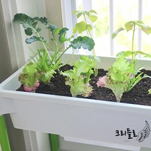 텃밭 플랜트박스 미니 이동식 베란다 테라스 화분 상추키우기 옥상 상자, 꿀비테라스화분 3단_화이트