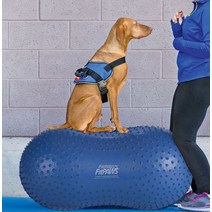 FitPAWS TRAX 피넛 땅콩풍선 벌룬 애견 운동 훈련기구, 블루 60cm