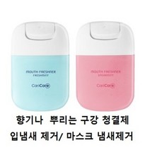 구강 청결제 입냄새 제거제 스프레이형 향기나 구강스프레이 20ml 2종 (스피아민트/프레쉬민트), 스피아민트2개(핑크)