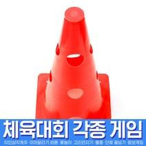스투피드 체육대회 모음, 040_반환점중(30cm칼라콘/레드)