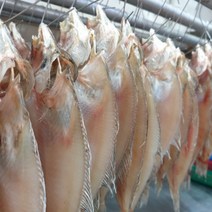 선우수산 반건조생선 반찬용 납세미, 7마리