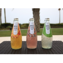 동남아 태국 포만감 다이어트음료 바질씨앗 식이섬유 미네랄 카페 커피숍 리치 망고 패션푸르츠 과일주스, 리치+망고+패션푸르츠, 12병, 290ml