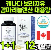 보라지유 BORAGEOIL 보라지꽃 종자유 감마리놀레산 감미리놀렌산 캐나다 케나다 해외 직구 직수입 저온 콜드 압착 압축 오메가6 보충제 보충용 제품 보조제 하루 한알 대용량 추천, 2박스(12개월분)