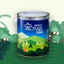 친환경 외벽 페인트 담장 콘크리트 시멘트 무광 셀프 KCC숲으로에이스외부용 3.78L, 색상선택, 화이트5