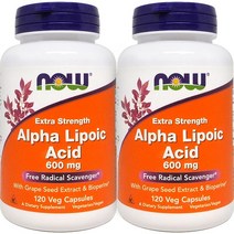 2병 Now Foods 알파리포산 Alpha Lipoic Acid 600 mg 120정