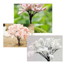 [포레스]벚꽃나무, [6500530]옵션없음