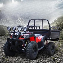 화물 ATV 4륜오토바이 농업용 짐운반 사륜바이크, 패키지 2 200CC 공기 냉각