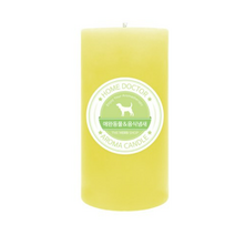 더허브샵 홈닥터 향초, 방냄새&잡냄새, 2개