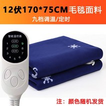 차박 전기장판 매트 방수 차량용 온열 캠핑 온열 자동차, 12V 길이 170cmx 폭 75cm