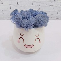 스칸디아모스 천연이끼 공기정화 이모티콘 화분, 큰 이모티콘 모스-블루