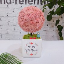 스칸디아모스 어버이날 스승의날 선물 공기정화식물 나무 액자 화분, 모스 빅큐브 선생님 감사 트리-핑크