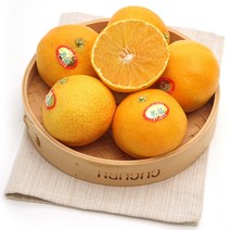 제주 명품 황금향 산지직송 선물용 2.5kg 4.5kg 노지 하우스 타이벡, 제주 황금향 9-14과 / 2.5kg