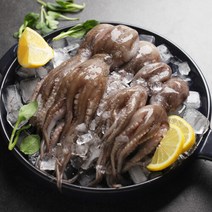 순천만수산 국내산 주꾸미 1kg 20미내외(동결), 색상:단일상품