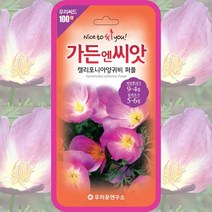 꽃양귀비 씨앗 보라색 캘리포니양귀비 퍼플 100립 꽃씨 꽃씨몰 원예용, 단품
