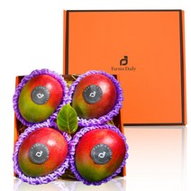 추석명절 명품 과일선물 당일발송 항공직송 망고 프리미엄 고당도 애플망고 쁘띠 선물세트 (4입 2kg 내외), 1개