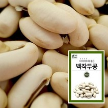 마이플랜트 백작두콩 씨앗 채소 야채 키우기