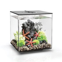 biOrb Cube 30 Aquarium with MCR - 8 Gallon Black, Series 5_Black | 8 Gallon