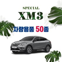 [차랑] XM3 자동차 용품 악세사리 튜닝 차량용품 모음, 06_XM3 주유구 투명 보호필름