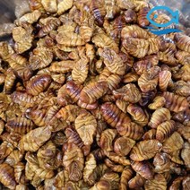 바다더해 냉동 번데기 4kg 국민간식 주전부리 술안주, 단품