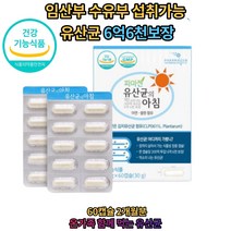 유산균 아침 임산부 수유부 온가족 장건강 2개월분 쾌변 가족 영양제 소화분해효소 배변활동 원활 장건강 30대 40대 50대 60대 여자 남자