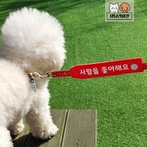 댕냥라이프 강아지 메세지 네임택 리드줄 슬리브 산책 반려견 인식표 (주문제작), 레몬