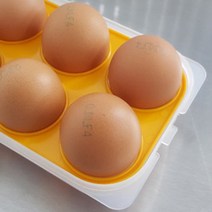 계란 보관함 냉장고 달걀 보관 용기 10구, 쿠팡 본상품선택