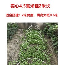 강선활대 비닐하우스 온실 조립식 프레임 하우스 터널 뼈대 텃밭 아치형 골조 지지대 원예, 4.5mm 2미터 20개