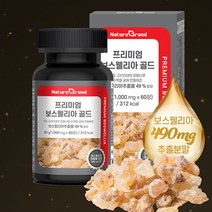 인도산 보스웰리아 추출물 함유 프리미엄 보스웰리아 골드 1000mg 60정 2개월 분, 1통