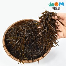완도맘 완도 생톳 당일조업 싱싱함 가득 두세이트이상구매시 사은품증정, 생톳1kg