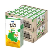 썬업 Vita-C 머스캣 125ml 48팩