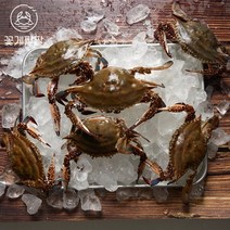 태안 신진도 당일조업 자연산 제철 꽃게 생물 꽃게 가을 꽃게 숫게, 4kg (12~19미), 1개