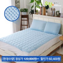 [한정수량]우정플러스 쿨매트, 9.[한정수량]3D 매쉬 쿨매트 스카이 더블+베개 2개