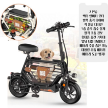 PAS 전기 자전거 명품 레트로 고성능 대용량 경량 배달용 출퇴근용, 2인승 12A(약 60km운행), 카본