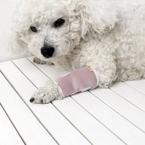 강아지 반려견 슬개골 관절 탈구 무릎 보호대 패드 레깅스 애완 동물 야외 염 리트리버 수술 부상 안티 핥기 구속 활동 발 가드 개, k021 그레이 우측 앞싱글, 작은