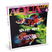 미미네아쿠아 아쿠아라이프 19년 06월호 - (열대어잡지), 단품없음
