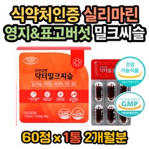피곤할때 몸이피곤할때영양제 밀크씨슬권장량 간수치 밀크씨슬성분 밀크씨슬효과 밀크씨슬 효능 밀크시슬권장량 밀크시슬 효과 밀크시슬효능 밀크시슬복용법 필름끊김 숙취 실리마린