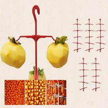 반건시부터 곶감까지 다양한 먹거리를 즐길 수 있는~비엘라 DIY 곶감걸이 5개(감50개분), 곶감걸이 5개(50개분)