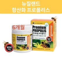 뉴질랜드 프리미엄 대용량 프로폴리스 면역력 높이는 비염에 좋은 구내염 영양제 아기 바이오 그린 프로 폴리스 효능 효과 6~12개월 180캡슐, 2통 360캡슐