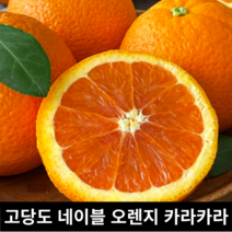 고당도 네이블 카라카라 오렌지 대과 특대 5kg 3kg / 네이블오렌지 자몽오렌지 카라카라오렌지 블러드오렌지 자몽 카라오렌지 orange 빨간오렌지 오랜지 오렌지대과, 카라카라 특대과 4.5kg (15과)