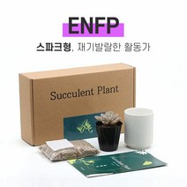 MBTI 다육이 키우기 키트 ENFP, 다육이 선택:홍포도