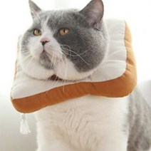 헨리남 강아지 넥카라, 식빵