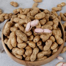 23년 국산 햇땅콩 고소한 피땅콩 삶아먹는 생땅콩 1kg, 3kg
